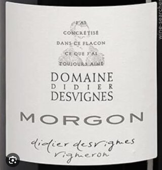 Domaine Didier Desvignes | Morgon &#039;Tradition&#039; 2021